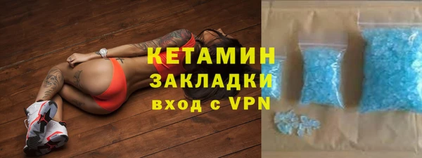трава Коряжма