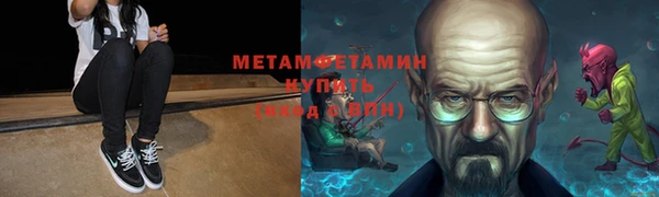 трава Коряжма