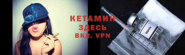 трава Коряжма