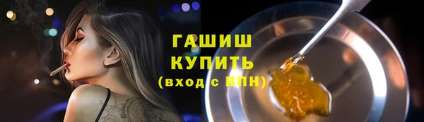 трава Коряжма