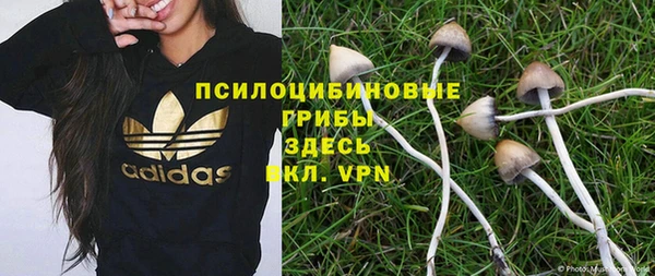 трава Коряжма