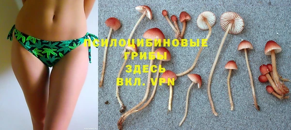 трава Коряжма