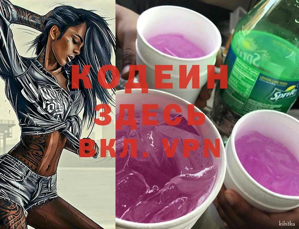 СК Корсаков