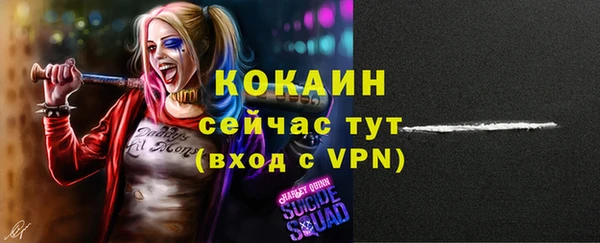 трава Коряжма