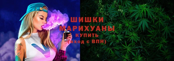 трава Коряжма