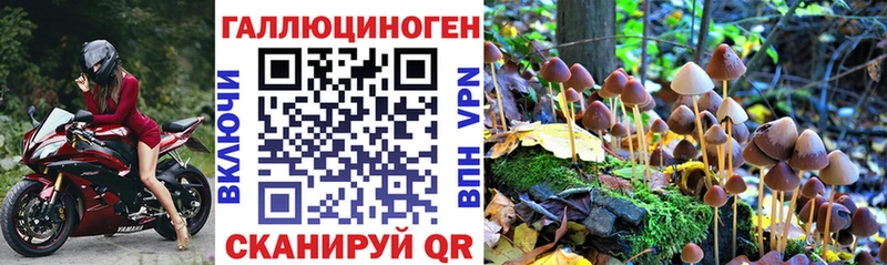 наркотики  Ставрополь  Псилоцибиновые грибы прущие грибы 
