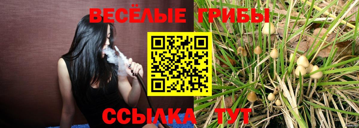 Галлюциногенные грибы ЛСД Ставрополь